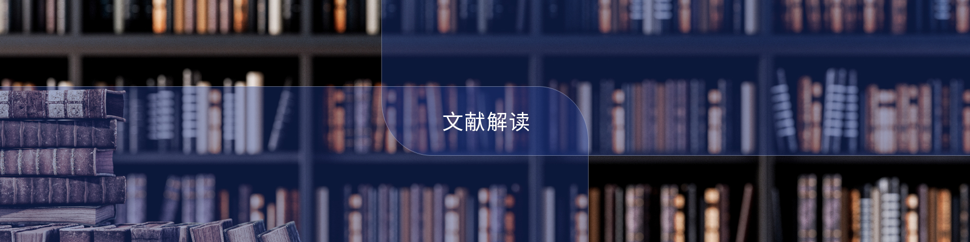 文獻解讀