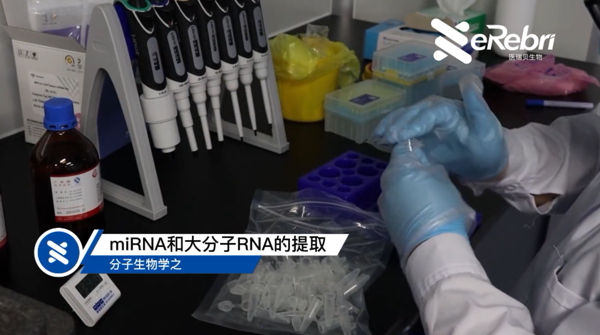 分子實驗-miRNA和大分子RNA的提取（上）